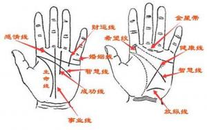 手相怎么看愛情，哪種手相的人不懂浪漫？