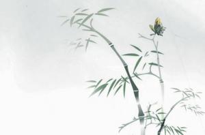 卜算子算命網