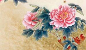 卜算子算命網(wǎng)