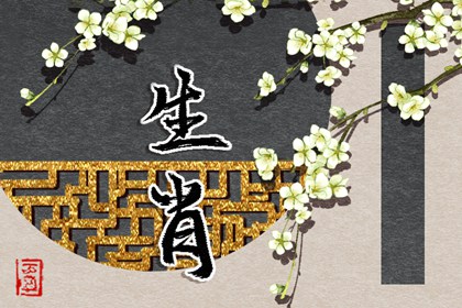 九紫火運最旺的屬相有哪些 什么是九紫火運