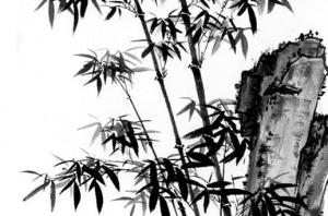 卜算子算命網