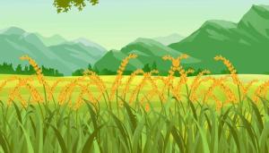 卜算子算命網(wǎng)