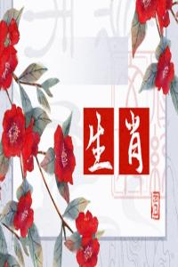 卜算子算命網(wǎng)
