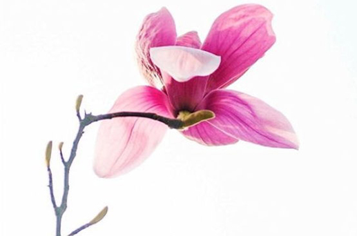 2024年4月21日是適合開(kāi)業(yè)的嗎 最宜開(kāi)業(yè)的時(shí)辰是何時(shí)