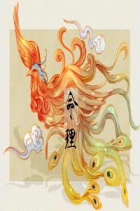 2024年全年最好八字 丙火之命運(yùn)勢(shì)尚佳