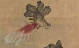 手機(jī)號(hào)能量從哪位數(shù)開始看 免費(fèi)測(cè)手機(jī)號(hào)打分100分