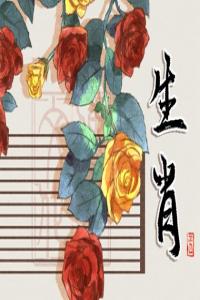 卜算子算命網