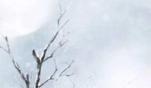 卜算子算命網(wǎng)