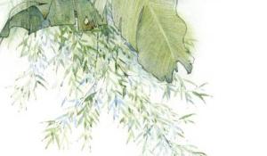 卜算子算命網(wǎng)