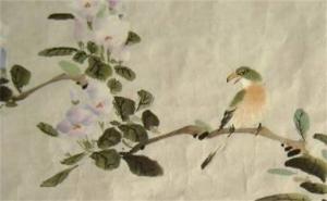 吸財守財?shù)?位數(shù)字組合 帶財帶貴人的手機(jī)號