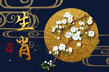 2024年春節(jié)屬什么生肖 龍寶寶幾月出生最好