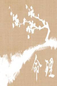 最硬的水命是什么水呢 大海水命綜合運(yùn)勢(shì)