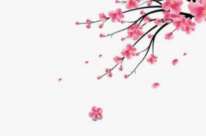 卜算子算命網(wǎng)