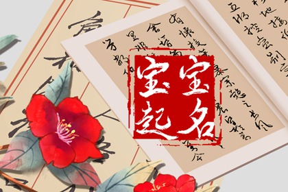 賈姓好聽稀少的男孩名字 賈姓男寶寶名字大全2023屬兔