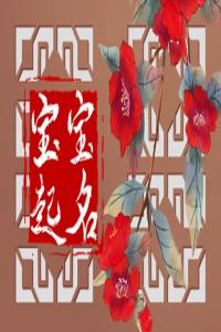 姓鄭男孩有寓意的名字大全 鄭姓男孩簡(jiǎn)單點(diǎn)的名字