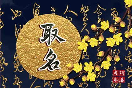 龍年別致獨特的飾品店鋪名字