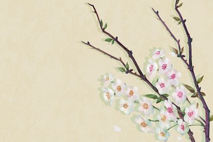己卯日柱命格的人一生運(yùn)勢精批