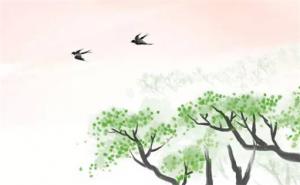 東四命西四命準(zhǔn)嗎 東四命西四命算法公式