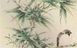 月令正印是正印格嗎