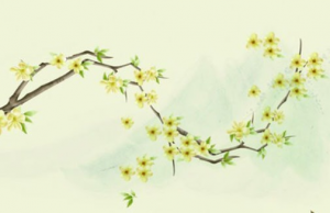 辰時出生的男孩適合做什么職業(yè)