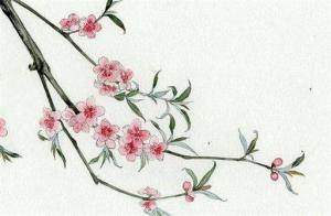哪一年出生屬于辛丑年 1901年、1961年、2021年、2081年、2141年