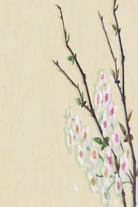 壬戌年出生是帶財庫嗎 壬戌日出生人財運(yùn)走勢詳解
