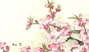 卜算子算命網(wǎng)