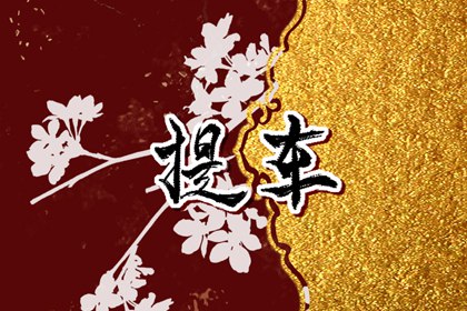2024年6月3日提車日子好不好 提車幾點鐘最吉利