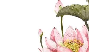 卜算子算命網(wǎng)