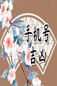 號(hào)碼吉兇測(cè)算,絕命磁場(chǎng)加伏位磁場(chǎng)，讓你兢兢業(yè)業(yè)還缺錢(qián)。