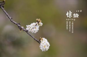 驚蟄節(jié)氣的特點和風俗