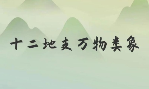 類象是什么意思，八卦萬物類象詳解！