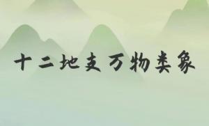 類象是什么意思，八卦萬物類象詳解！