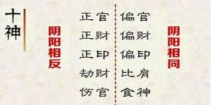 十神詳解大全，十神各代表的意思詳解！