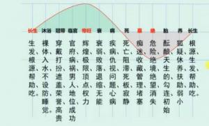十二長生對照表，十二長生的用法與詳解！
