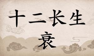 衰在八字里面代表什么，衰在八字里面代表什么意思？ 