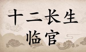 臨官在八字里面代表什么，臨官在八字中代表什么意思？