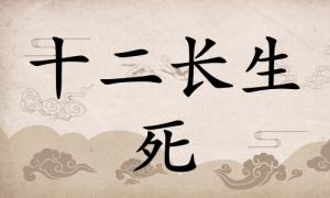 死在八字里面代表什么，死在八字里面代表什么意思？
