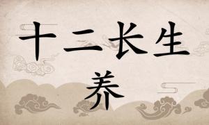 養(yǎng)在八字里面代表什么，養(yǎng)在八字中代表什么意思？
