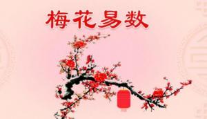 梅花易數(shù)是怎么回事？