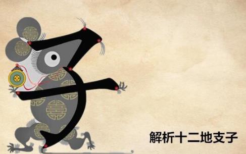 十二地支子是什么意思，五行屬什么？