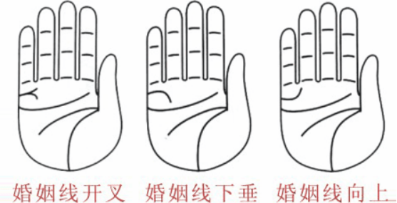 婚姻線分叉代表什么，婚姻線分叉是什么意思？