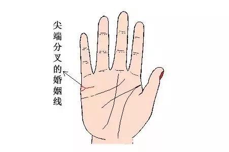 婚姻線(xiàn)分叉一定會(huì)離婚嗎?