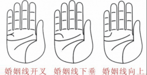 婚姻線分叉代表什么，婚姻線分叉是什么意思？