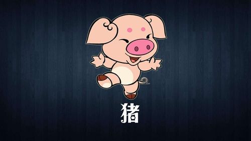 屬豬人今年下半年有大災難