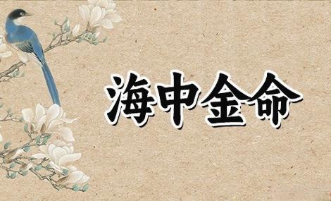 海中金命幾月最好命