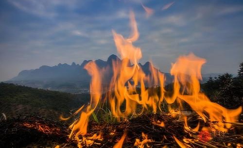 山頭火命和什么命最配