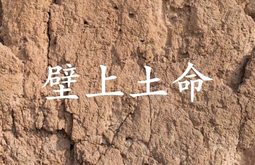 壁上土命女孩命運(yùn)