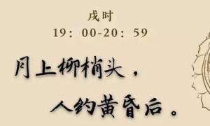 戌時出生的男孩命運
