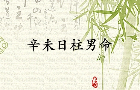 辛未日柱男命運詳解